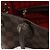 LOUIS VUITTON Damier Ebene Neverfull PM Tote Bag N51109 LV Auth 186031 - vista 10