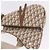 Borsa a Spalla Christian Dior Trotter Canvas Saddle Beige Silver Auth 187508SAM Argento - vista 15