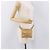 Marsupio CHANEL in raso oro con CC Auth 187614SAM D'oro - vista 26