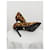 Michael Kors Décolleté leopardate slingback Marrone Nero - vista 9