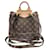 Louis Vuitton Monogram Excursion PM Rucksack Braun Monogramm - Ansicht 2
