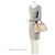Tote Prada Canapa con cristalli Marrone Beige - vista 5