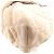 Bolso de hombro Chanel Hampton Line 66132 Beige - vista 3