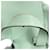 Borsa Loewe Hammock 2-Way Verde chiaro - vista 18