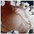 Triomphe Céline Celine Luggage Borsa a mano in pelle crema Beige - vista 9