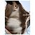 Louis Vuitton Galliera PM Monogram Canvas Marrone Beige - vista 14