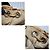 Louis Vuitton Galliera PM Monogram Canvas Marrone Beige - vista 8