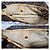 Louis Vuitton Galliera PM Monogram Canvas Marrone Beige - vista 9