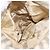 CHANEL Chain Matelasse Schultertasche Canvas Grau Gold CC Authentisch 182717 Braun Golden - Ansicht 27