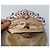 Autre Marque Butler & Wilson Clutch con Perline e Cornice a Tiara di Cristallo Multicolore D'oro - vista 6
