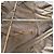 Burberry Trench Classico Beige - vista 4