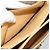 Borsa a tracolla GUCCI Micro GG Supreme PVC Beige Gold 001 099 4084 Auth BA13452 D'oro - vista 23