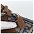 FENDI Borsa a tracolla Zucca Canvas Celeria Blu Argento Auth ka4804A - vista 10