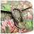 Borsa Gucci Dionysus GG Blooms con catena 2WAY Marrone Beige - vista 8