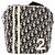 Borsa a tracolla Christian Dior Trotter Canvas PVC Nero Argento Auth 187794 - vista 13