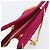 CHANEL Matelasse Chain Shoulder Bag Cotton Jersey Wine Red Gold CC Auth 185539 D'oro Bordò - vista 20