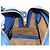 Borsa LOEWE Amazona 75 in pelle 2way Blu Oro Auth 185420SM D'oro - vista 24