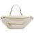 Borsa a tracolla Chanel AS0556 Crudo