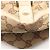 Borsa Tote Abbey GG Canvas Gucci Beige Crudo - vista 6