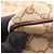 Borsa a Spalla Gucci GG Canvas Marrone Beige - vista 6