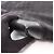 Gucci G Canvas Sherry Line Schultertasche Schwarz - Ansicht 12