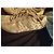 Coach Kathleen Monogram Sneaker Beige - Ansicht 2