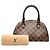 Louis Vuitton Marrone Damier Ebene Mini Ribera - vista 8