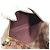 Borsa a tracolla Louis Vuitton Damier Iena MM Marrone Damier ebene - vista 11