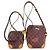 Louis Vuitton Monogram Panam Set Catgram Borsa a Spalla Monogramma - vista 2