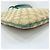 Borsa a tracolla Gucci beige - vista 7
