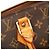 Louis Vuitton Marrone Monogram Alma PM - vista 7