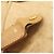 Miu Miu 2-Way Tote Bag Beige - Ansicht 10