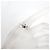 Tiffany & Co. 925 1837 Interlocking Circle Ring - Ansicht 7