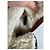 Autre Marque Vintage Etro Leather Wool Ankle Boots Brown Grey EU38 - view 9