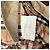 Giacca Harrington Burberrys in cotone beige - vista 5