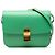 Céline Celine Green Medium Calfskin Classic Box Verde