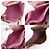 Borsa Tote Muse Yves Saint Laurent Marrone Rosa - vista 5