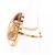 Louis Vuitton Ring Bague à la Folie Monogram Flower Ring Braun Golden - Ansicht 2