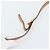 Borsa a Spalla GUCCI Micro GG Supreme PVC Beige Oro 001 14 0412 Auth 189340 D'oro - vista 9