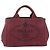 Borsa a mano PRADA Canapa PM in tela Bordeaux Auth 188079 Bordò - vista 13