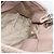 Borsa a tracolla 2way Miu Miu Matelasse Chain in pelle Rosa Argento Auth 188727 - vista 22