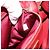 Borsa PRADA in pelle rossa e oro Auth 187417A Rosso D'oro - vista 11