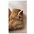 visvim Caravan Jkt Slub Velluto a Coste Camel Marrone - vista 6