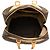 Louis Vuitton Marrone Monogram Evasion - vista 4