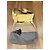 Borsa a tracolla in pelle colorblock Chloé Grigio Giallo Marrone chiaro - vista 2