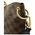 Borsa a spalla Louis Vuitton Damier Odeon NM MM Marrone - vista 4