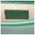 Mini borsa a mano Dionysus in pelle e cristalli Gucci Verde - vista 8