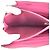 Chanel Caviar Skin Long Wallet Pink - view 9