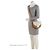 Piccola borsa a tracolla Gucci GG Supreme Padlock Saddle Marrone Beige - vista 5