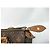 Louis Vuitton Speedy Monogram Canvas 25 Marrone - vista 2